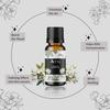 Aerra Jasmine Essential Oil (15ml) - Pure Mogra Aroma Oil for Diffuser, Puja, DIY - Floral Scent view 2
