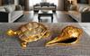 PITAL NAGRI ECRAFT Tortoise with SHANKH feng Shui Vastu urtle Figurine Sculpture, Brass Tortoise, Statue Brass Tortoise Shank Pooja Living Room Decorationfor Home Office 1.3 KG (Cobmo Set of -2) view 2