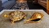 PITAL NAGRI ECRAFT Tortoise with SHANKH feng Shui Vastu urtle Figurine Sculpture, Brass Tortoise, Statue Brass Tortoise Shank Pooja Living Room Decorationfor Home Office 1.3 KG (Cobmo Set of -2) view 4