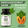 VREEX Carica Papaya Leaf Extract 500 mg Supports Healthy Platelet Function, Immunity & Digestion Natural Herbal Supplement (60 Capsules) view 4