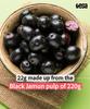 Fresa Frootz Freeze Dried Black Jamun Delights|Crunchy, Sweet & Nutritious Snack|Natural, Antioxidant-Rich Superfruit|Immunity Boosting|No Added Sugar|22g (Pack of 2) view 3
