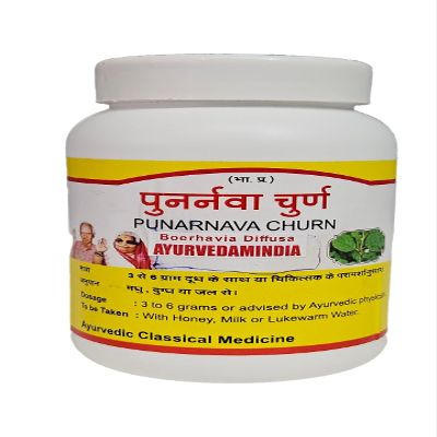 AYURVEDAMINDIA Punarnava Powder 100g | Pure & Natural Herbal Supplement for Wellness & Detox | Supports Kidney & Liver Health (Pack of 1)
