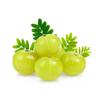 3V PRODUCTS Natural Dry Amla Powder | Nellikai | Indian Gooseberry Powder 100Gm view 3