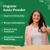 A TATA Product - Organic India Amla Powder - 200g, Pouch view 3