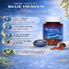 Dr. Totala's Blue Heaven Tablets | Herbal Formulation | Daily Wellness Routine | Balanced Lifestyle Use | Traditional Herbal Blend | 100 Tablets view 3