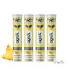 AgeX Daily Multivitamins - 21 Fast-Acting Vitamins & Minerals with Vit C, B3, B12, Zinc and Iron for Immunity, Energy & Heart Health - 80 Effervescent Tablets - Pineapple (Pack of 4) view 1