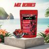 Nurture Tree Mixed Berries, Antioxidant-Rich Gourmet Mix (200gm) 3 in 1 - Healthly Snacks Contains Dried Blueberries | Strawberries | Goji Berries | Good Source of Fibre view 2