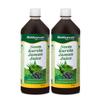 Baidyanath Neem Karela Jamun Juice (2l, 1l X 2) | Natural Remedy for Blood Sugar Management & Reduces Bad Cholesterol | Best For Digestive Health, Diabetic Care, Skin Care & Natural Detox | No Added Sugar view 1