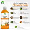 GargRishi Neem Karela Jamun Juice & Sea Buckthorn Detox Juice | Ayurvedic Herbal Combo for Blood Sugar Balance, Digestion, Immunity, Liver Cleanse & Skin Health 1000ml view 4