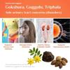 Shivam Ayurveda Gokshuradi Guggulu, 60 Tablets, Classical Ayurvedic Medicine view 4