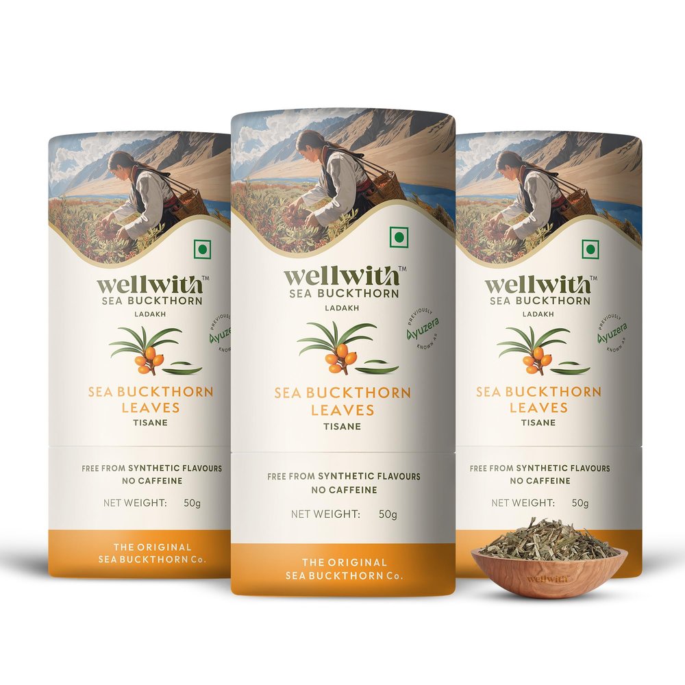 Wellwith (Ayuzera) Sea Buckthorn Raw Leaves Tea | Himalayan Herbal Leaf Tea | Good for Skin, Immunity & Detox | Pure & Natural | 50g (Pack of 3)