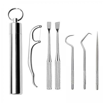 CALANDIS 2xStainless Steel Tootick Kit with Waterproof Holder for Daily Use Traveling | Dental Floss & Flossers | Oral Care