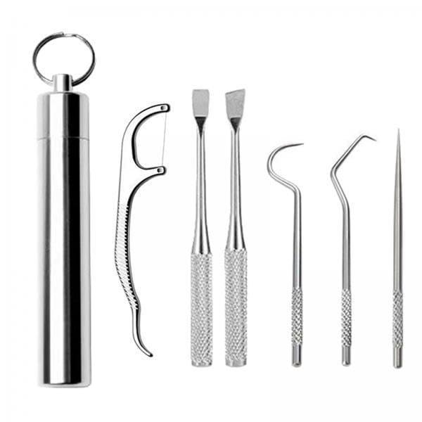 CALANDIS 5xStainless Steel Tootick Kit with Waterproof Holder for Daily Use Traveling | Dental Floss & Flossers | Oral Care