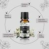 Aerra Floral Duo Rose & Jasmine Essential Oil Combo (2 x 15ml) Pure Aroma Oils for Diffuser, Puja, DIY Vegan view 3