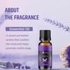 Aerra Serenity Duo  Lavender & Rose Essential Oil Combo (2 x 15ml)  Pure Aroma Oils for Diffuser, Puja, DIY  Vegan view 2
