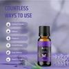 Aerra Serenity Duo  Lavender & Rose Essential Oil Combo (2 x 15ml)  Pure Aroma Oils for Diffuser, Puja, DIY  Vegan view 4
