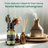 Aerra Harmony Sextet  Lavender, Rose, Lemongrass, Orange, Jasmine, Sandalwood Essential Oil Combo (6 x 15ml)  Puja, Diffuser view 4