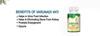 Ayurveda Yogashram Remedies Varunadi Vati | Herbal Diuretic Supplement for Urinary Wellness, Kidney Stones, Prostate Support & Renal Health | 120 Capsules view 2