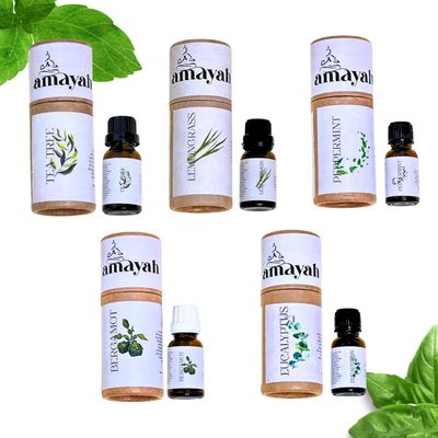 Amayah Mindfuel - Natural Essential Oils for Focus, Energy & Productivity | Tea Tree, Lemongrass, Eucalyptus, Peppermint & Bergamot (Combo Pack of 5) | 15ml Each