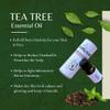 Amayah Tea Tree Essential Oil for Acne, Dandruff & Aromatherapy  15ml view 3