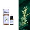 Amayah Tea Tree Essential Oil for Acne, Dandruff & Aromatherapy  15ml view 4