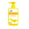 KMI Handwash 250ml | Germ Protection Liquid Hand Wash with Moisturizer | Gentle on Skin, Tough on Germs | Daily Use for Home, Kitchen, Office, Pack of 1 view 1
