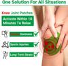 Herbal Knee Plaster Sticker | Pain Relief & Inflammation Patches with Natural Wormwood Extract | Knee Joint Relief for Men & Women (Pack of 10) view 2