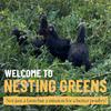 Nesting Greens Kali-Masi Eggs | Pasture-Raised, Farm Fresh Eggs | Pack of 2 (12 eggs) view 2