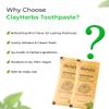 Clayherbs Travel Toothpaste Sachets  Eco-Friendly Single-Use Natural Toothpaste in Kraft Pouch  Ideal for Hotels, Travel, Guests & Events  Herbal Formula (200) view 3