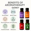 Aromas Essential Oil - Lavender, Lemongrass, Jasmine, Orange, Rose (Pack of 5 x 10ml) | 100% Pure & Natural | for Diffuser, Skin, Hair, Massage & Aromatherapy (Essential Oils - 5) view 4