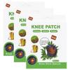 Adbeni Herbal Knee Pain Relief Patches | 30 PCS | Natural Wormwood & Ginger | Long-Lasting Comfort for Joint, Muscle & Knee Discomfort | Self-Heating Herbal Therapy Stickers view 1