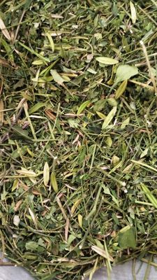 Aadi16's Bengal Spice Ayurvedic Medicinal Natural Dry Kalmegh Raw Swerita Leaves (Andrographis paniculata) used for liver problems & Immunity Boost, Pack of 400gm.