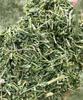Aadi16's Bengal Spice Ayurvedic Medicinal Natural Dry Kalmegh Raw Swerita Leaves (Andrographis paniculata) used for liver problems & Immunity Boost, Pack of 400gm. view 3