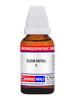 OLEUM SANTALI 6 CH | Homoeopathic Medicine, Dilution, Traditionally used in homeopathy for urinary tract support | 10ml view 1