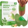 Delightbee Herbal 10 Knee Pain Relief Patch Herbal Plaster for Joint & Muscle Pain, Quick Relief Heating Pad, Natural Pain Reliever for Knee, Arthritis, Back & Body Pain Inflammation Patch Sticker,Natural Wormwood (10 Knee Patches) view 1