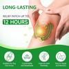 Delightbee Herbal 10 Knee Pain Relief Patch Herbal Plaster for Joint & Muscle Pain, Quick Relief Heating Pad, Natural Pain Reliever for Knee, Arthritis, Back & Body Pain Inflammation Patch Sticker,Natural Wormwood (10 Knee Patches) view 3
