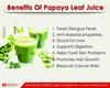 Fresh Papaya Leaves, Natural Green Organic Papaya Leaves Natural Ayurvedic Herbs for Immunity Boost | Beauty & Skin Cleanser | Herbal Detox| Digestion| Best in Dengue,100g view 2