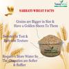 Trueway Farms Organic Sharbati Wheat (Gehu) 18.5kg (Pack of 10, Each pack 1.85kg) | Stone Ground Whole Wheat, Low Gluten & Chemical-Free | Naturally Grown in MP for Soft Roti & Chakki Atta view 4