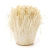 Enoki Mushroom Liquid Culture  Flammulina filiformis  10ml Sterile Syringe  FastColonizing Mycelium for Grain, Sawdust, or Log Cultivation view 2