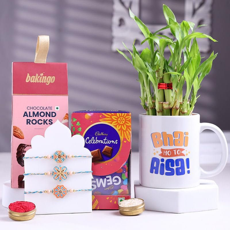 FlowerAura Premium Rakhi For Brother Combo Include Set of 3 Pastel Bloom Rakhi With Almonds Rock, Cadbury Box, Lucky Bamboo Plant In Coffee Mug & Roli Chawal Set (Same Day Delivery)