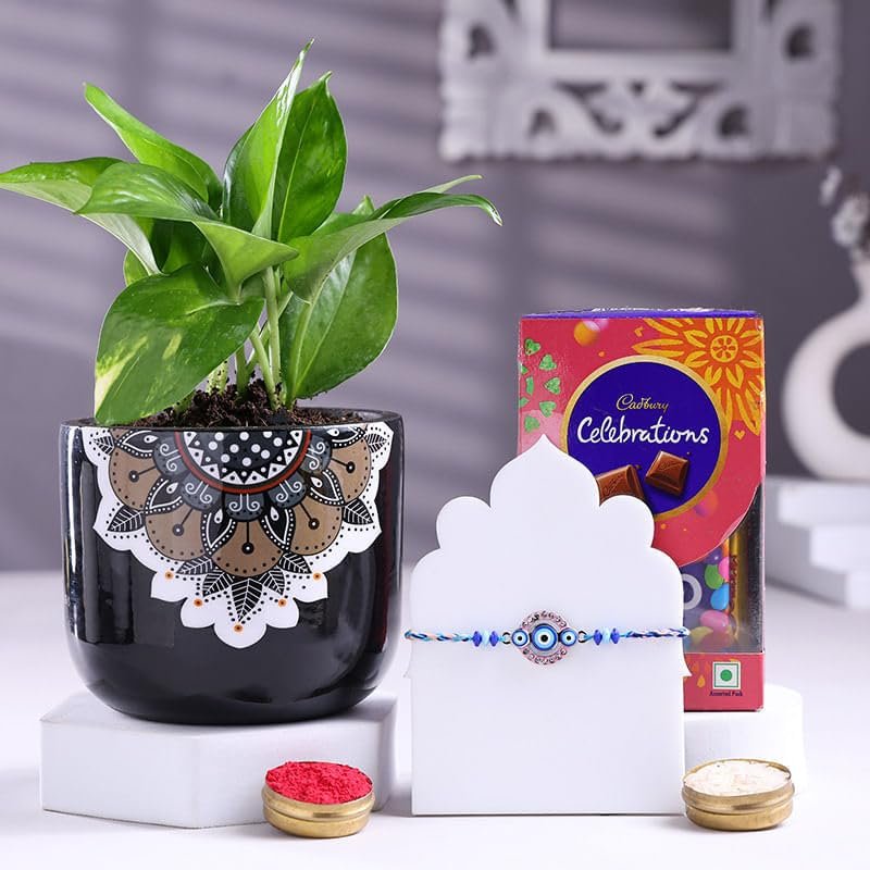 FlowerAura Premium Rakhi For Brother Combo Include Blue Beaded Evil Eye Rakhi With Chocolate Box & Live Indoor Money Plant In Pot & Roli Chawal Set - Rakhi Gift For Brother, Bhai (Same Day Delivery)
