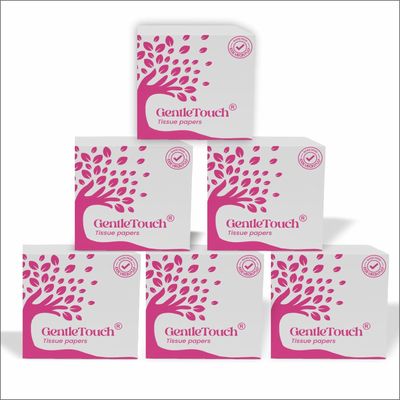 GentleTouch Premium Soft Facial Tissues | 100 Pulls x 6 Packs | 2-Ply, Skin-Safe & High Absorbency | Multipurpose Tissue Paper for Home, Car & Office | Ultra-Soft, Hygienic & Tear-Resistant