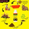 Cow Dung-Based Organic Kitchen Waste Composting Waste Decomposer Liquid | Fast Compost Maker for Kitchen Waste | 250ml view 2