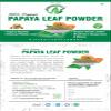 Bhargav Ayurveda I Papaya Leaf Powder | Face Skin| Supports Digestion | Fever I Malaria |Immune System | Enhances Platelets Count | Fever Herbal Medicine | 100 GM Powder (2) view 4