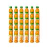 Dailee Mango Drink 180 ML With Fruit Pulp and Enrich Alphonso (Pack of 30) view 1