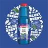 RAJMANDIR Blueberry Sharbat 750ml, Instant Refreshing Summer Drink, Ready to Mix with Water or Soda, Perfect for Parties, Picnics & Festivals view 4