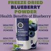 Blueberry Powder view 4
