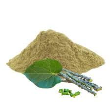 My God Gift Giloy/Guduchi/Gulvel Stem Powder | 100 Grams | Jaivik Bharat Certified | Amruthavalli podi | Tinospora cordifolia | No Added Preservative