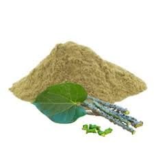 My God Gift Giloy/Guduchi/Gulvel Stem Powder | 100 Grams | Jaivik Bharat Certified | Amruthavalli podi | Tinospora cordifolia | No Added Preservative