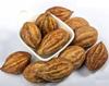 My God Gift Harad Badi Pili - Harad Big - Haritaki - Yellow Terminalia Chebula - Pure & Natural (100 Grams) view 1
